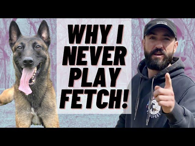 WHY I NEVER PLAY FETCH! I DO THIS INSTEAD! BELGIAN MALINOIS TRAINING!