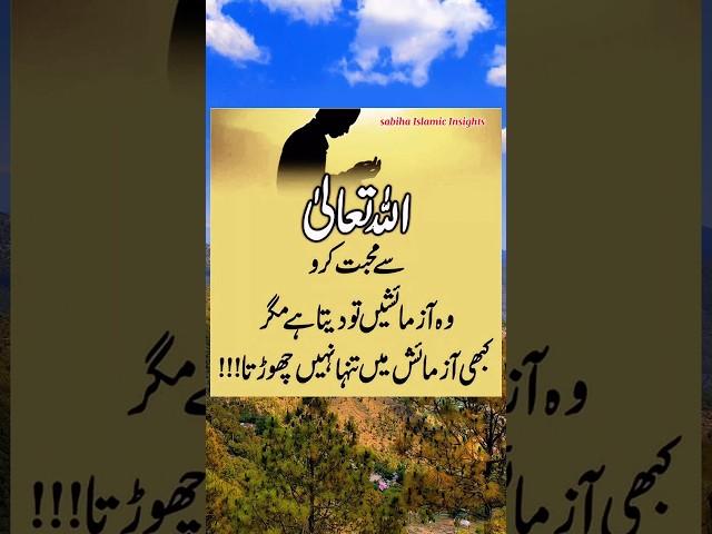 ALLAH Se Muhabbat️ | Quotes | Urdu Quotes | Islamic Quotes | Islamic shorts | Islamic Status |