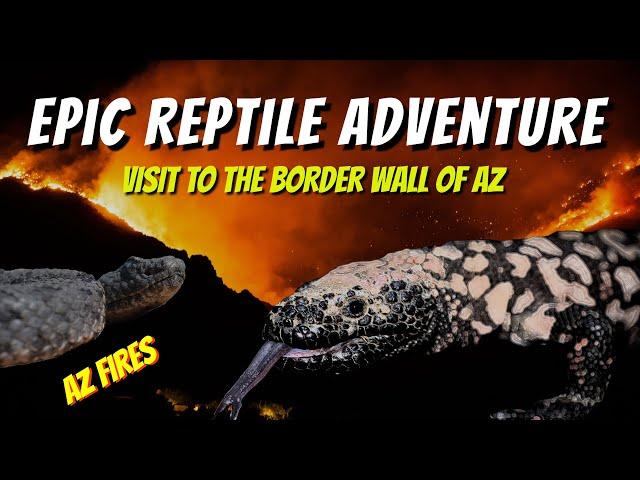 Epic Reptile Adventure - Border of Arizona