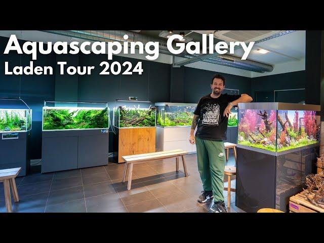 Unser Aquascaping Laden! Liquid Nature Ladentour - November 2024