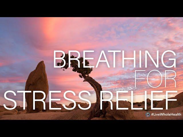 #LiveWholeHealth: Breathing for Stress Relief