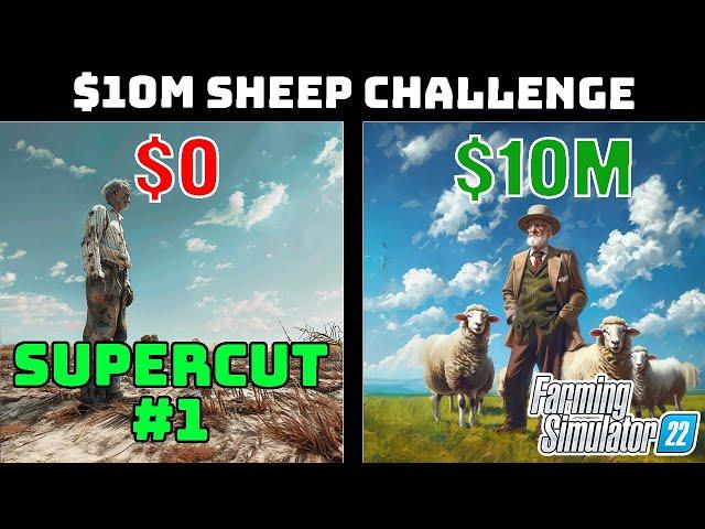 $0 to $158,000 SUPERCUT of the $10 Million Dollar Sheep Challenge!