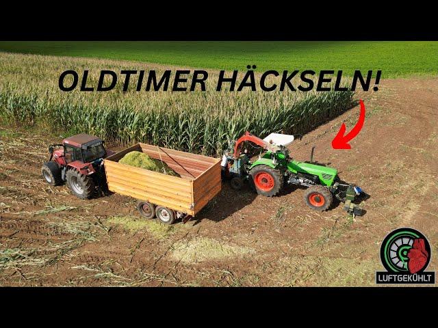 Deutz D10006 Turbo mit Case Maxxum 5130 Turbo Mais häckseln Oldtimer häckseln 2024 