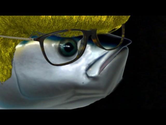 Realistic Fishhead Art Critic reviews AllyPrincessGirl101 + Bonus Video