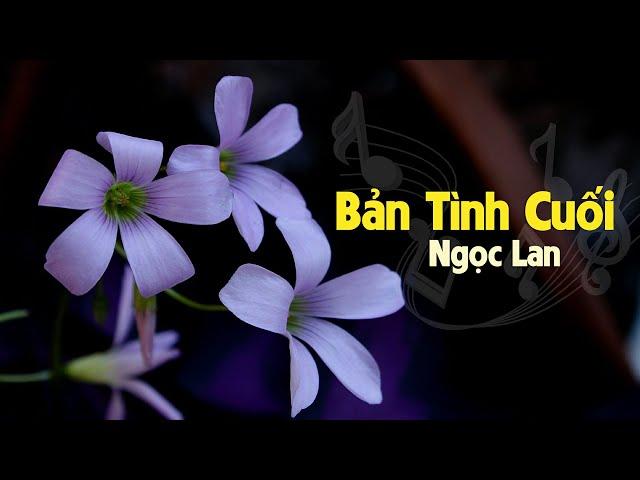 Bản Tình Cuối (Ngô Thụy Miên) - Ngọc Lan