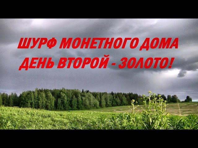 Шурф магазина / 2 день - Золото!!! #72