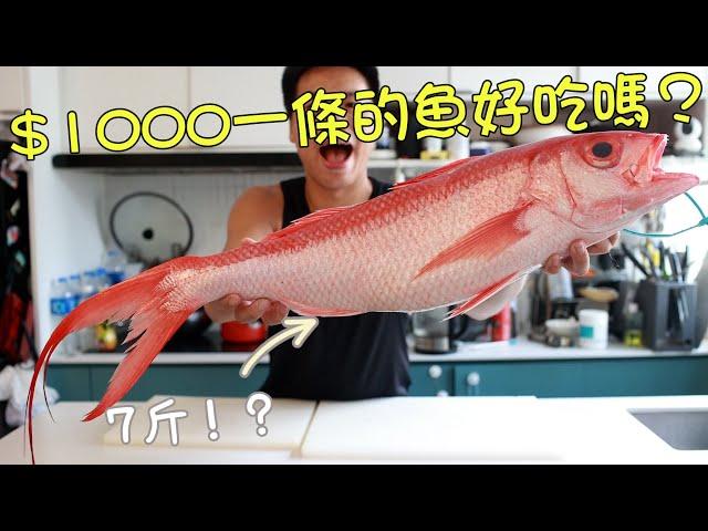 1000HKD一條的魚好吃嗎？濕式熟成2天頂級食材！小強貓新技能！