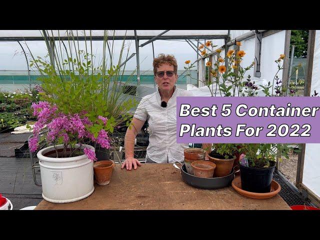 My Top 5 Container Plants!