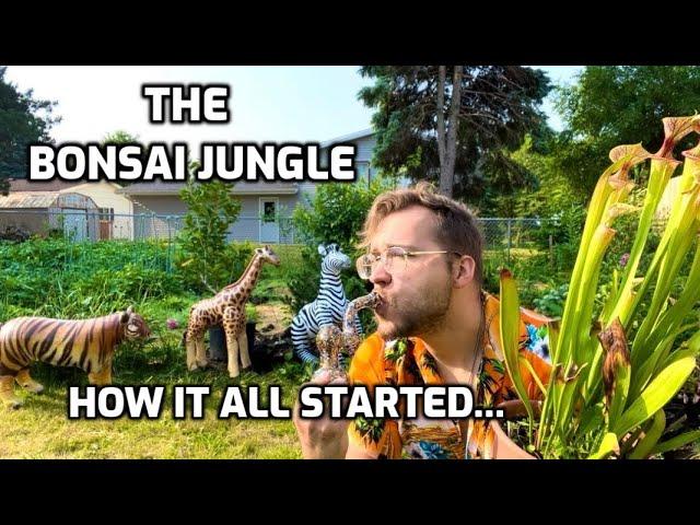 How I started The Bonsai Jungle - My Apocalypse Vegetable Garden Experiment