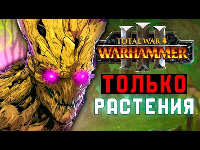 Я УСТРОИЛ ГЕНОЦИД ЭЛЬФОВ [Total War: Warhammer 3]