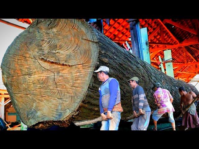 Incredible Teak Wood Cutting Skill || Biggest teak sawmill in the world