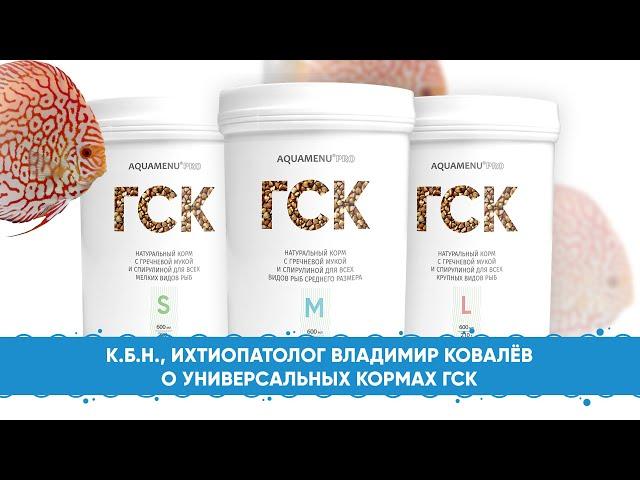Ихтиопатолог, К.Б.Н. Владимир Ковалёв о кормах ГСК