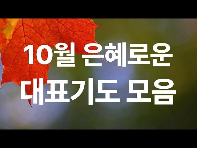 10월 대표기도문 모음ㅣ대표기도가 어려운 분들을 위한 10월 대표기도[주일 대표기도문/예배기도]