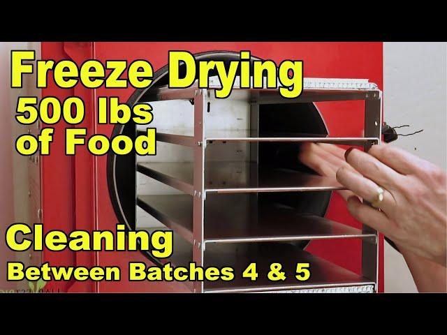 Freeze Drying Your First 500 lbs of Food - Cleaning - Between Batch 4 Eggs, and Batch 5 Potatoes