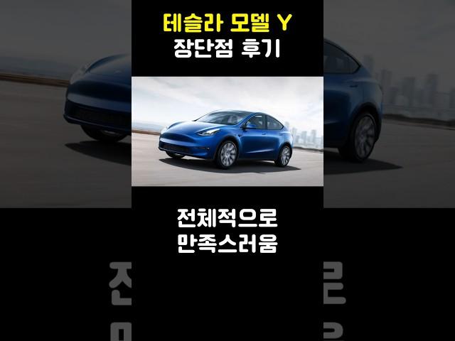 테슬라 모델Y 장단점 후기