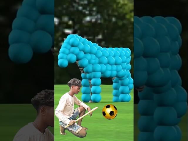 The_mascot_zodiac_Zebra_placed_on_the_football_field._What_is_your_zodiac_sign__Douyin_Assistant_Po