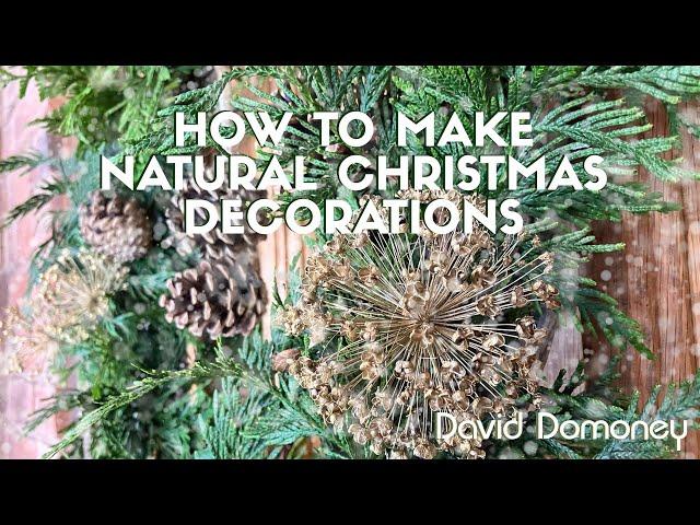 How to make natural Christmas decorations with David Domoney