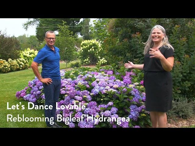 Gardening Simplified Show - Summer Garden Tour 2023