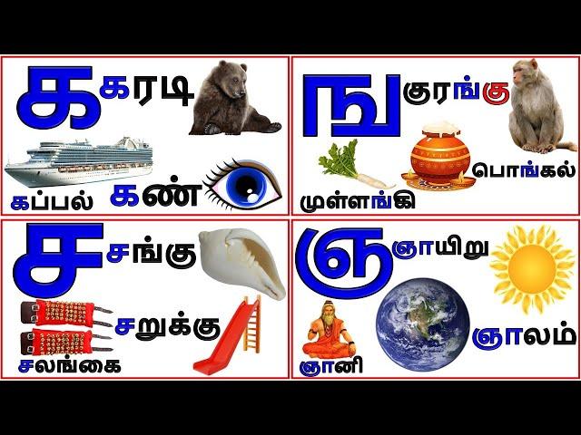 உயிர்மெய் எழுத்துக்கள் (UyirMei Ezhuthukkal)|Tamil Letters| க ங ச ஞ ட  @PRINIT1419