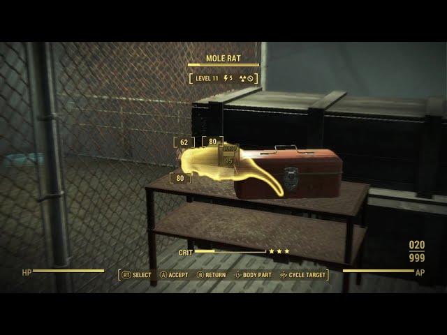 Rats be derpin'...