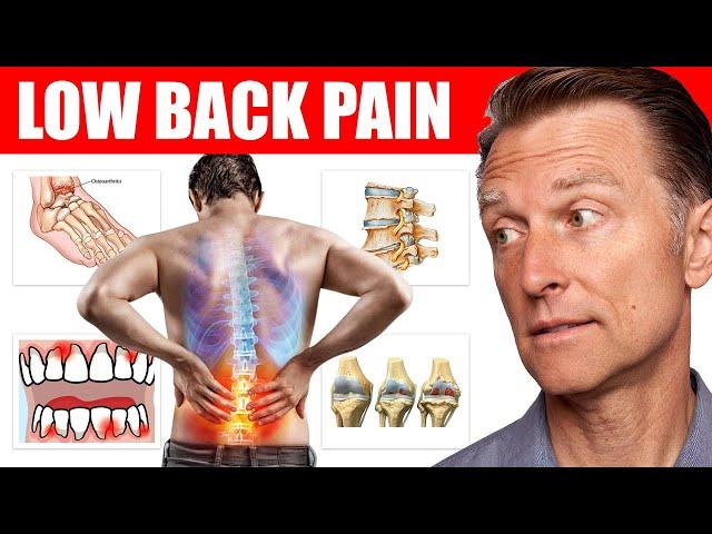 Key Vitamin Deficiencies Causing Your Back Pain