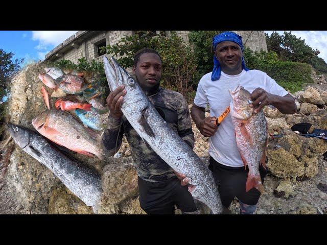 Big Mutton Snapper & Barracuda Speared Along With Huge Parrots