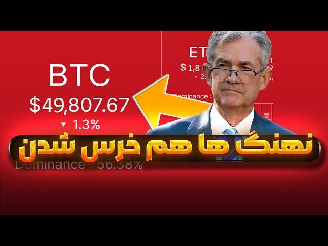 نهنگ‌ها در کمین فروش بیت‌کوین! آیا زمان ریزش فرا رسیده؟