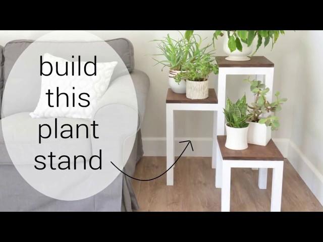 DIY Modern Wooden Plant Stand for Indoors with blogger Kate Riley