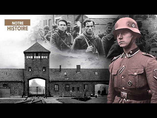 Running away from Hitler? They did. History of the escapees from the 3rd Reich - Documentary - AMP