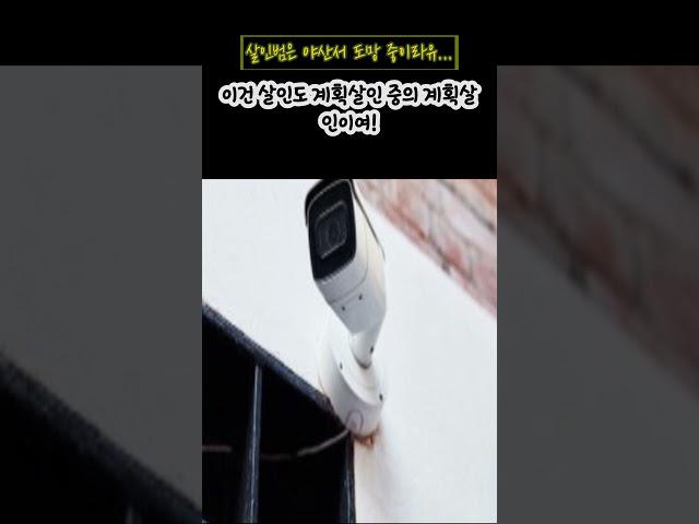 살인범은 야산서 도망 중이라유… #이슈 #핵심 #요약 #뉴스 #news #world #경찰 #police #산 #도주 #세종 #대구 #여성 #40대여성