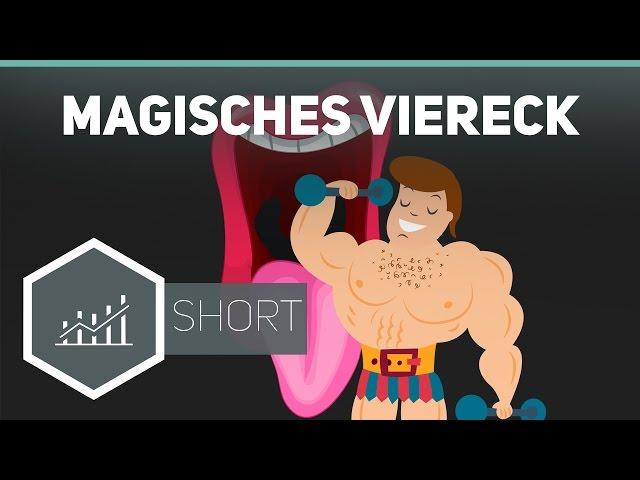 Magisches Viereck - Grundbegriffe der Wirtschaft