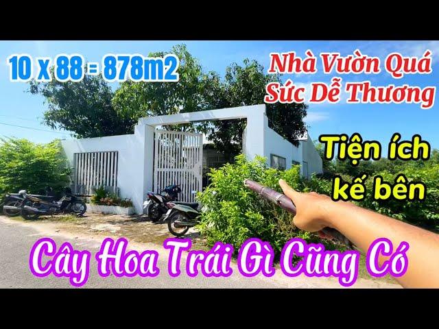 Tập 133  | Nhà vườn 878m2 quá sức dễ thương  Cây hoa trái gì cũng có  Tiện ích sát bên