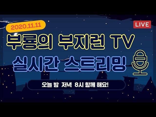 [11.11] 부룡의 부지런 TV 실시간 스트리밍