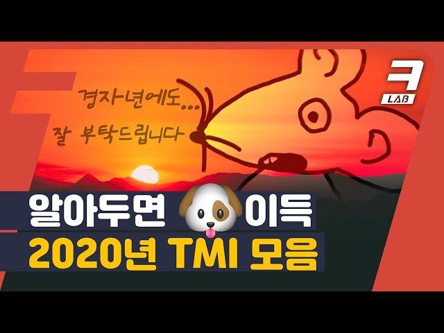 2분 순삭 알아두면 개이득 2020 TMI 총정리