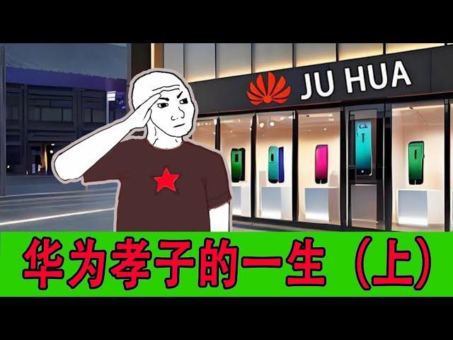 华为孝子的一生（上）｜wojak｜猴子的一生｜小粉红的一生｜