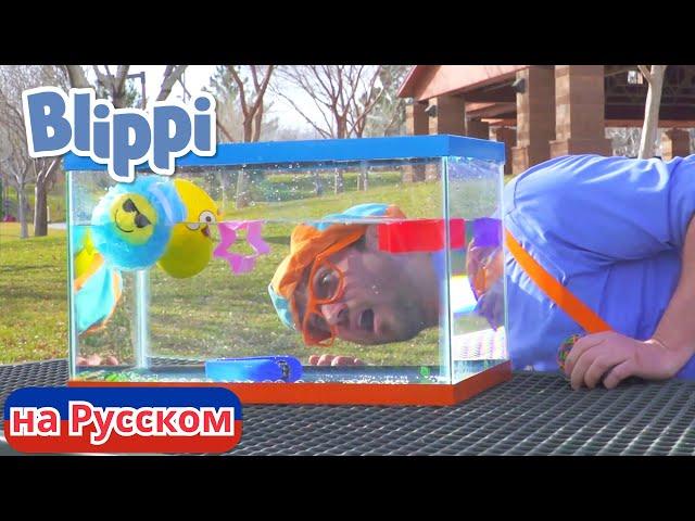 Плыви или Тони | Блиппи на Русском | Изучай этот Мир вместе с Блиппи | Blippi