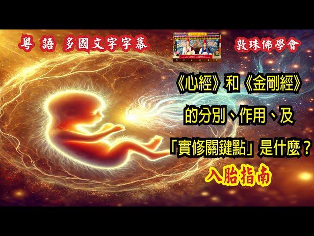 《心經》和《金剛經》的分別、作用、及「實修關鍵點」是什麼？ (粵語中文字幕) 76慈悲心與菩提心的觀修方法 啤嗎哈尊金剛上師 敦珠佛學會