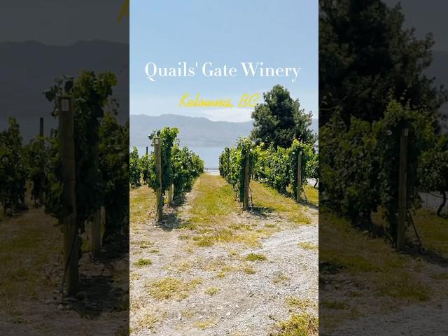 Quails Gate Winery Kelowna, BC