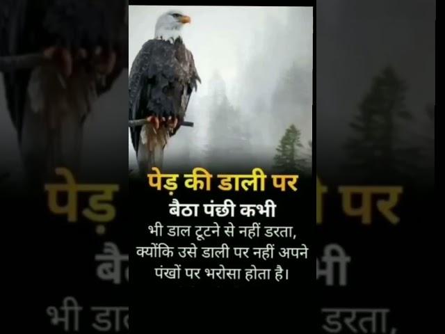 Motivational Quotes ।। Motivational Thoughts ।। Positive Vibes ।। #motivation #shorts #video #viral