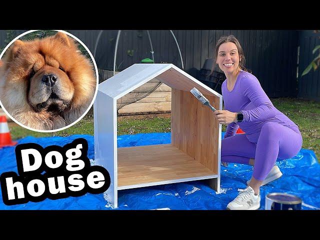 i built my dog a house