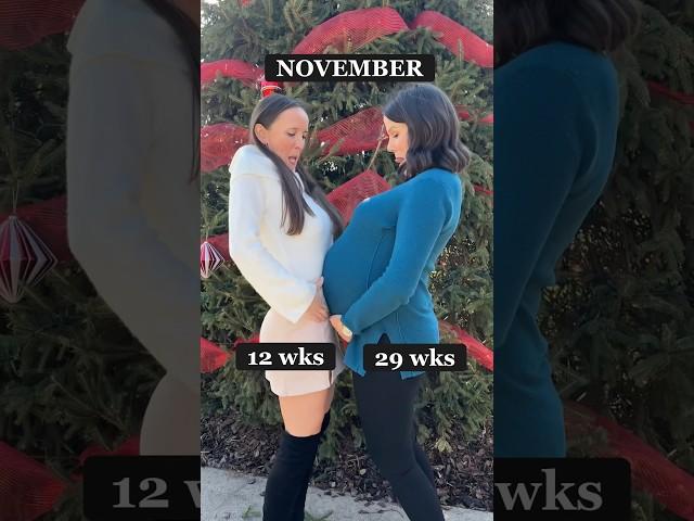 Triplet vs singleton pregnancy month by month-I love life with my sis! #pregnant #triplets #babies