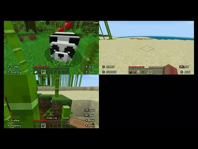 My kids teach me Minecraft Part 1:  DaddyDaddyDaddyDaddy....