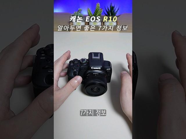 캐논 EOS R10 구매전 알아두면 좋은 정보 7가지