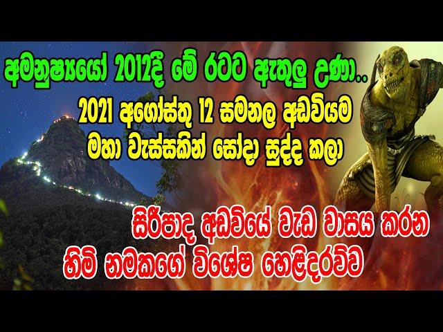 අමනුෂ්‍යයෝ 2012 දී මේ රටට ඇතුලු උණා..සිරිපා අඩවියේ වැඩ වාසය කරන හිමිනමකගේ විශේෂ හෙළිදරව්ව| SiwhelaTV