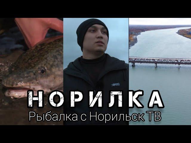 Рыбалка на налима на реке Норильская с Норильск ТВ