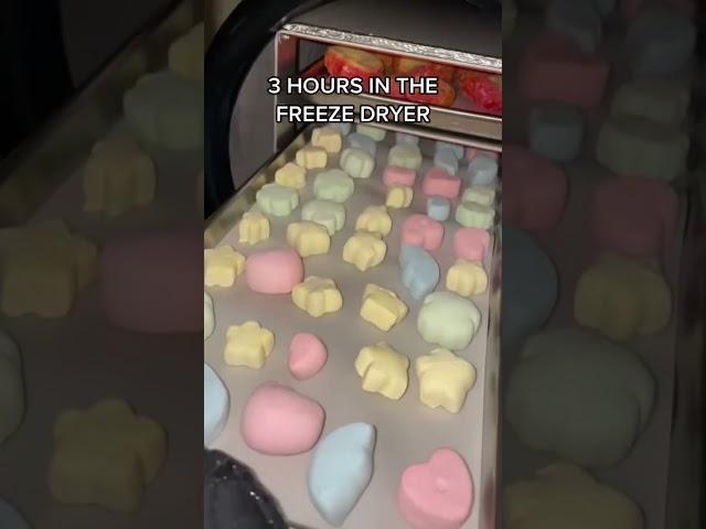 Who else loves Lucky Charms marshmallows?!  #luckycharms #freezedriedcandy #shorts