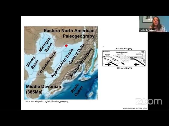 Fossils of Western New York