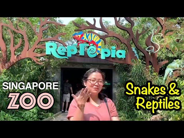 Reptopia Tour | Singapore Zoo