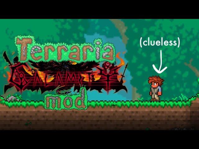 I've never played Terraria...