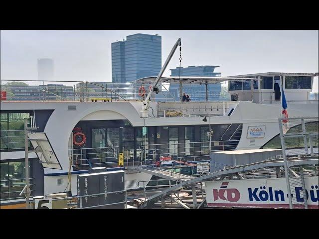 Flusskreuzfahrtschiff MS VistaNeo von 1AVista Reisen Kreuzfahrt Köln 01.05.2024 #cruise #travel